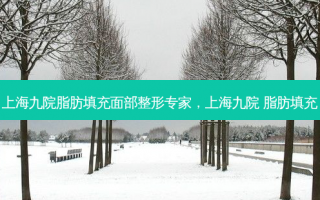 上海九院脂肪填充面部整形专家，上海九院 脂肪填充