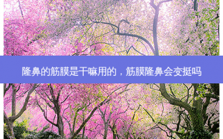 隆鼻的筋膜是干嘛用的，筋膜隆鼻会变挺吗