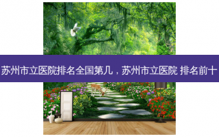 苏州市立医院排名全国第几，苏州市立医院 排名前十