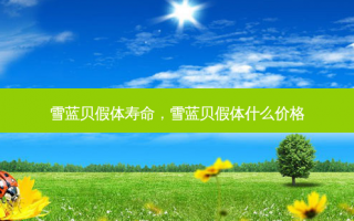 雪蓝贝假体寿命，雪蓝贝假体什么价格
