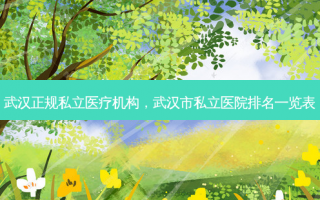 武汉正规私立医疗机构，武汉市私立医院排名一览表