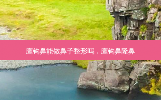 鹰钩鼻能做鼻子整形吗，鹰钩鼻隆鼻