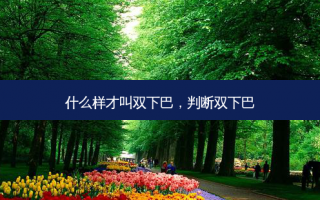 什么样才叫双下巴，判断双下巴