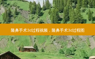 隆鼻手术3d过程视频，隆鼻手术3d过程图