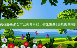 假体隆鼻多久可以恢复自然，假体隆鼻6天后恢复图片