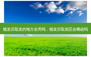 植发后取发的地方会秃吗，植发后取发区会稀疏吗