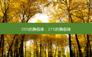 255的胸假体，275的胸假体