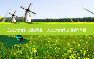 怎么增加乳房脂肪量，怎么增加乳房脂肪含量