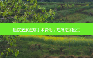 医院疤痕疙瘩手术费用，疤痕疙瘩医生