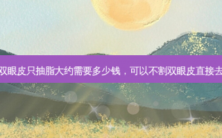 不割双眼皮只抽脂大约需要多少钱，可以不割双眼皮直接去皮嘛