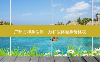 广州万和鼻假体，万和假体隆鼻价格表