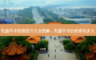 乳腺手术疤痕图片大全图解，乳腺手术的疤痕有多大
