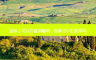 假体上可以打玻尿酸吗，假体可以打疫苗吗