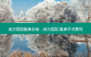 南方医院隆鼻价格，南方医院 隆鼻手术费用