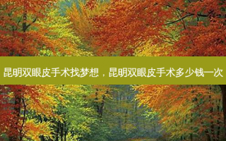 昆明双眼皮手术找梦想，昆明双眼皮手术多少钱一次