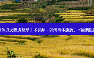 自体脂肪隆胸整形手术视频，滨州自体脂肪手术隆胸医院