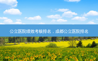 公立医院绩效考核排名，成都公立医院排名