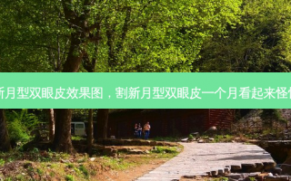 割新月型双眼皮效果图，割新月型双眼皮一个月看起来怪怪的