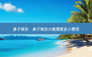 鼻子整形，鼻子整形大概需要多少费用