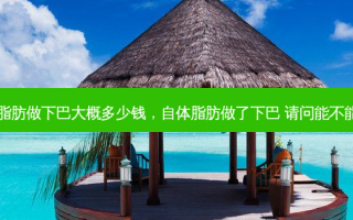 自体脂肪做下巴大概多少钱，自体脂肪做了下巴 请问能不能消除