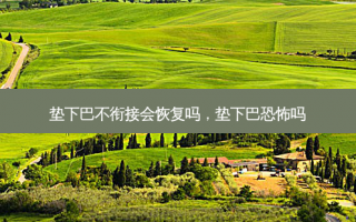 垫下巴不衔接会恢复吗，垫下巴恐怖吗