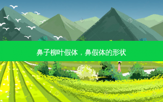 鼻子柳叶假体，鼻假体的形状