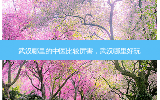武汉哪里的中医比较厉害，武汉哪里好玩