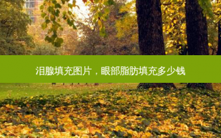 泪腺填充图片，眼部脂肪填充多少钱