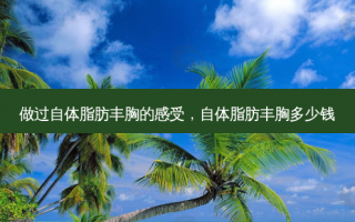 做过自体脂肪丰胸的感受，自体脂肪丰胸多少钱