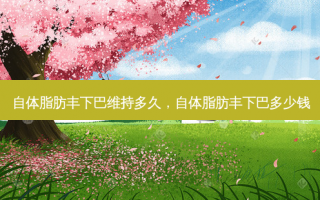 自体脂肪丰下巴维持多久，自体脂肪丰下巴多少钱
