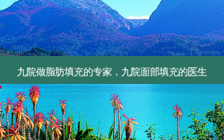 九院做脂肪填充的专家，九院面部填充的医生