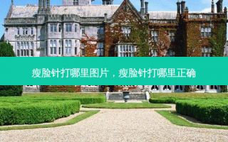 瘦脸针打哪里图片，瘦脸针打哪里正确