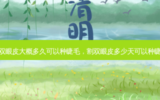 割双眼皮大概多久可以种睫毛，割双眼皮多少天可以种睫毛