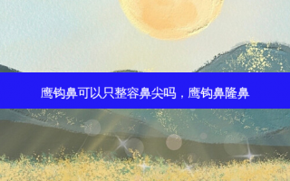 鹰钩鼻可以只整容鼻尖吗，鹰钩鼻隆鼻