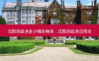 沈阳洗纹身多少钱价格表，沈阳洗纹身店排名