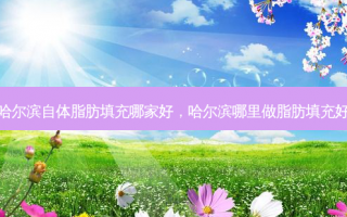 哈尔滨自体脂肪填充哪家好，哈尔滨哪里做脂肪填充好