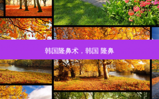 韩国隆鼻术，韩国 隆鼻