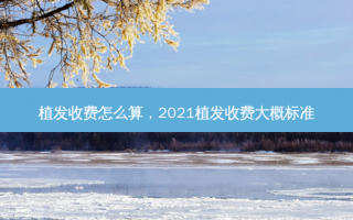 植发收费怎么算，2021植发收费大概标准