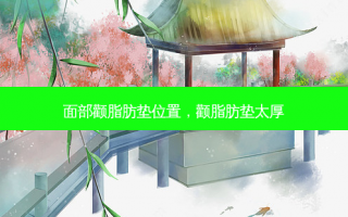 面部颧脂肪垫位置，颧脂肪垫太厚