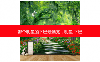 哪个明星的下巴最漂亮，明星 下巴