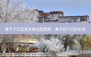 鼻子下巴反复长脓包型痘痘，鼻子到下巴的长度