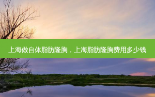 上海做自体脂肪隆胸，上海脂肪隆胸费用多少钱