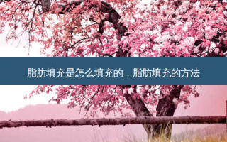 脂肪填充是怎么填充的，脂肪填充的方法