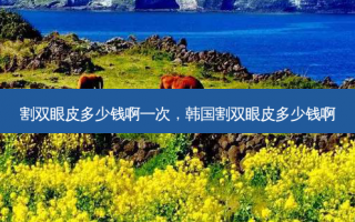 割双眼皮多少钱啊一次，韩国割双眼皮多少钱啊