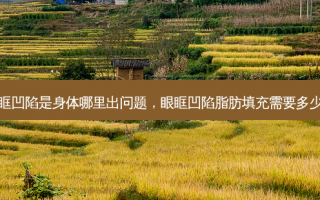 眼眶凹陷是身体哪里出问题，眼眶凹陷脂肪填充需要多少钱