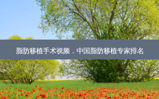 脂肪移植手术视频，中国脂肪移植专家排名