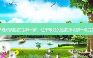 辽宁最好的医院是哪一家，辽宁最好的医院排名前十名是哪家