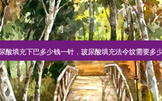 玻尿酸填充下巴多少钱一针，玻尿酸填充法令纹需要多少钱
