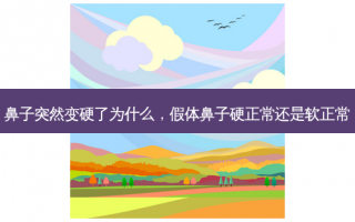 鼻子突然变硬了为什么，假体鼻子硬正常还是软正常