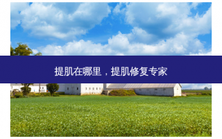提肌在哪里，提肌修复专家